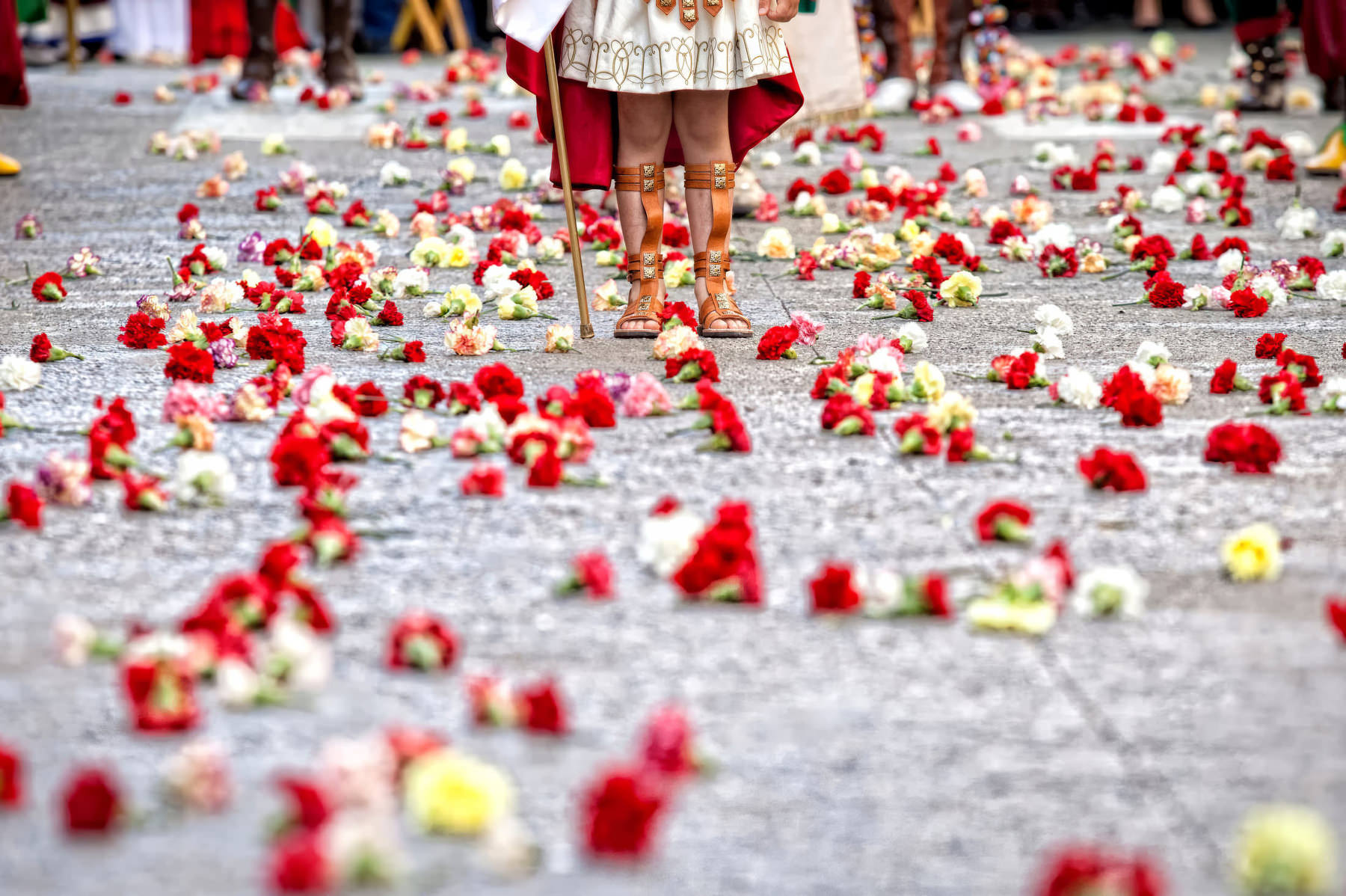 Fiestas - Tradiciones