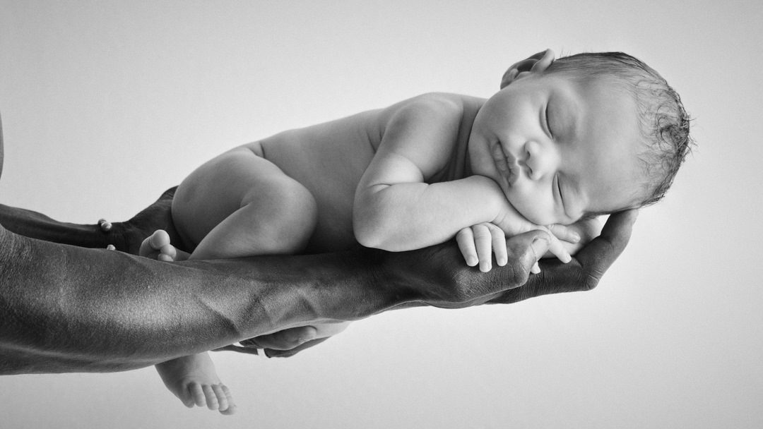 Bienvenido a la vida